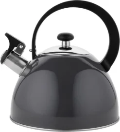 Florina Brillo Fluitketel 2,5L Voor Alle Warmtebronnen - Waterketel - Donkergrijs