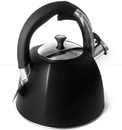 Klausberg KB-7195 Fluitketel - 3L - Rvs - Alle Warmtebronnen -Keuken Pot Winkel 1128x1200 1