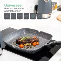 Coninx Grillpan 28CM - Steakpan - Afneembare Handgreep - PFAS-vrij - Grijs -Keuken Pot Winkel 1200x1200 1131
