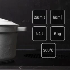 Daumonet Carême Blanc Gietijzeren Braadpan - Sudderpan Wit - Rond - Ø 26 Cm - 4,4 Liter - 100% PFAS & PFOA Vrij - Emaille - Geschikt Voor Alle Warmtebronnen - Elektrisch - Gas - Halogeen - Inductie - Keramisch - Vaatwasserbestendig -Keuken Pot Winkel 1200x1200 1279