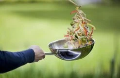 Demeyere Senses 5 RVS Wokpan - Inductie - 30 Cm – PTFE En PFAS Vrij -Keuken Pot Winkel 1200x786 2