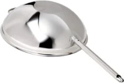 Demeyere Apollo 7 - Wok - 30 Cm - Met Glazen Deksel -Keuken Pot Winkel 1200x802 2