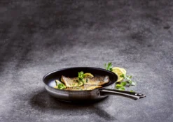 BK Allround Koekenpan Ø 24 Cm - Inductie - PFAS-vrij -Keuken Pot Winkel 1200x851 4