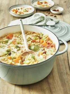 Tefal LOV Braadpan - 5L - Ø25 Cm - Groen -Keuken Pot Winkel 900x1200 23